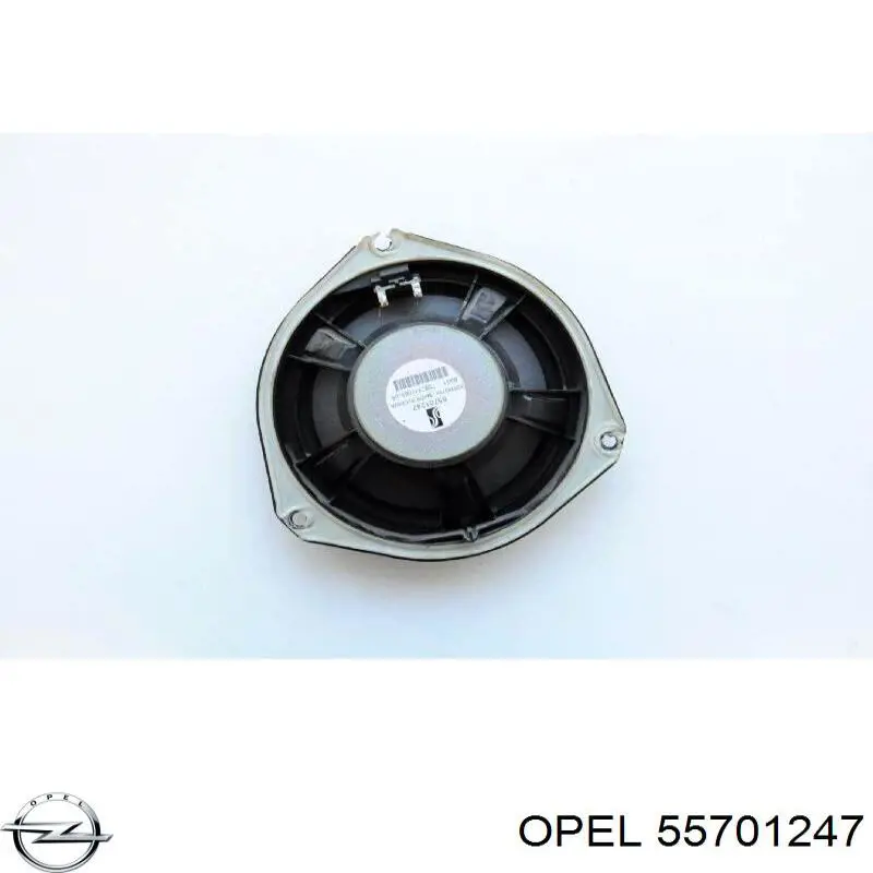 Купить 13448447 Opel Динамик передней двери