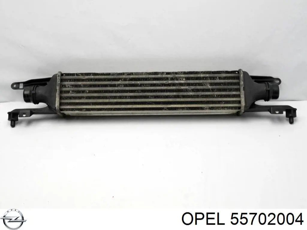 Радиатор интеркуллера Opel 55702004