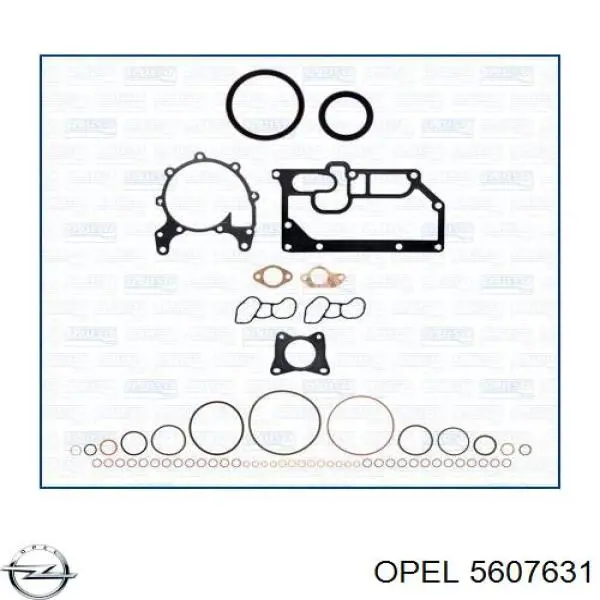 5607631 Opel прокладка гбц