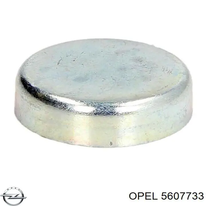 Купить 5607733 Opel Заглушка ГБЦ