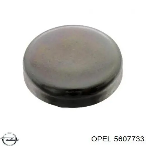Крышка ГБЦ Opel 5607733 цена, от 0.66 USD