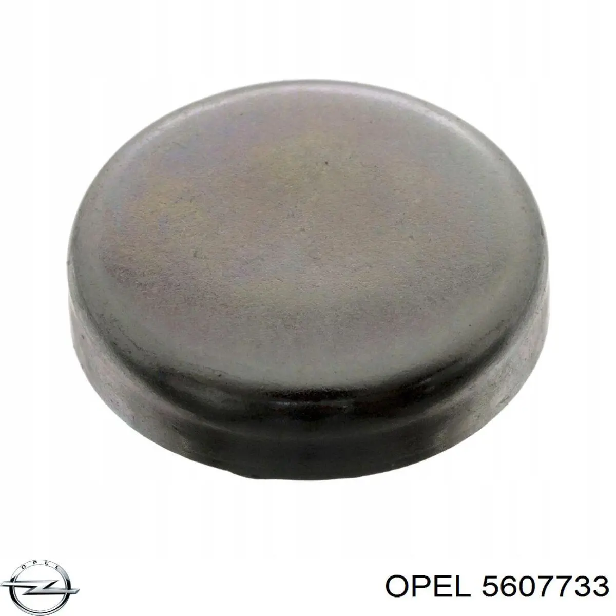 5607733 Opel Заглушка двигателя