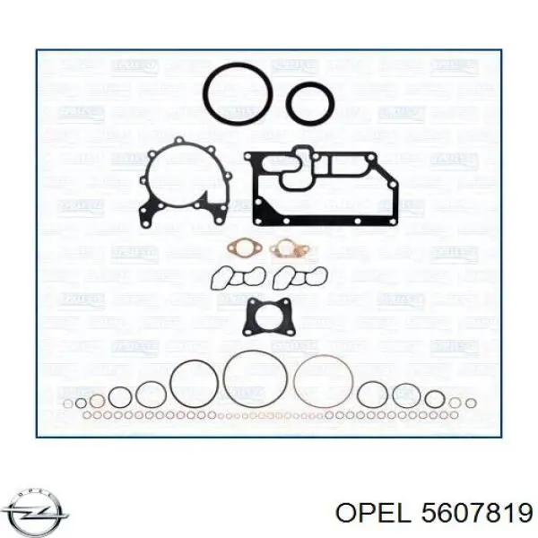 5607819 Opel прокладка головки блока цилиндров (гбц правая)