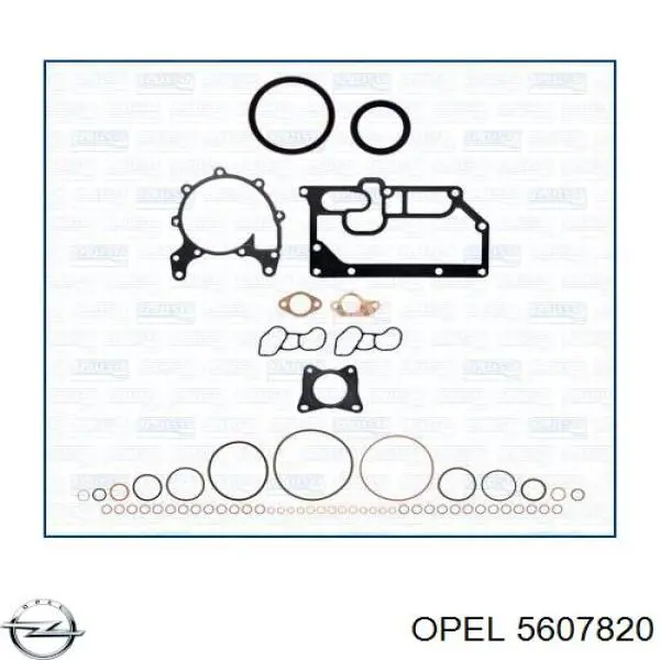 Прокладка головки блока цилиндров (ГБЦ), правая Opel 97253294 цена, от 70.09 USD