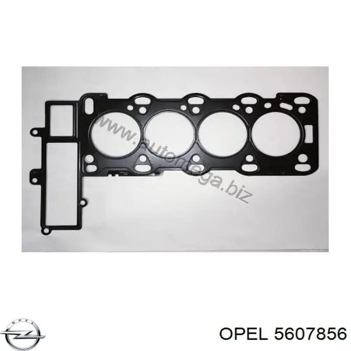 5607856 Opel прокладка гбц