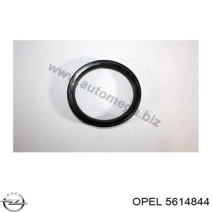 5614844 Opel сальник коленвала двигателя задний