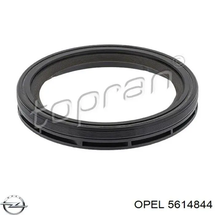 Сальник коленвала задний Opel 5614844 цена, от 6.75 USD