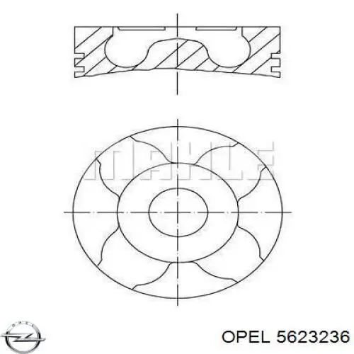  Opel 5623236 цена, от 73.32 USD
