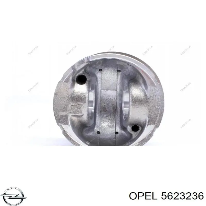 Купить 5623236 Opel 