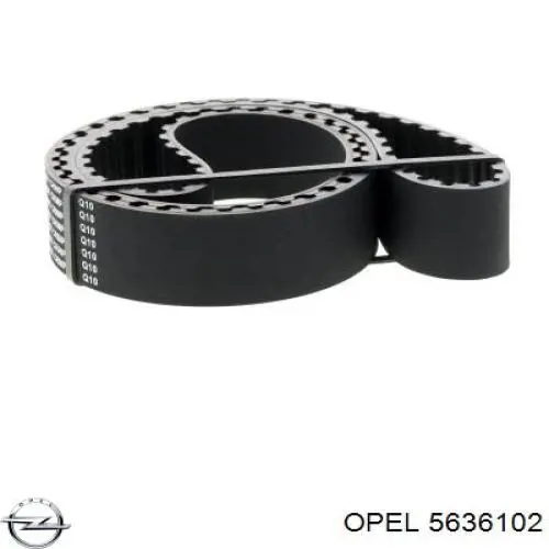 Купить 5636102 Opel Ремень газораспределительного механизма