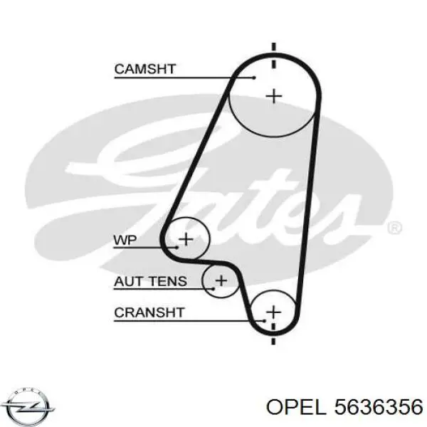 Ремень ГРМ 5636356 Opel