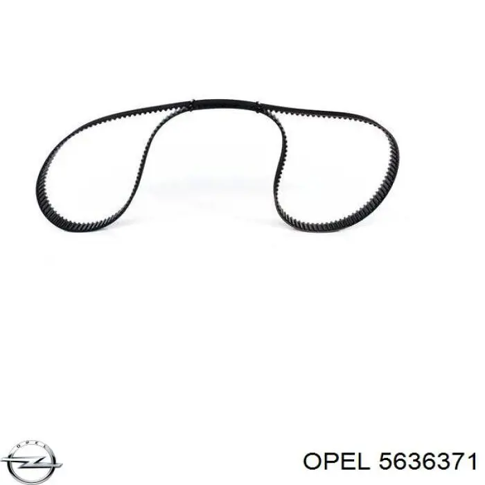 Купить 5636371 Opel Ремень газораспределительного механизма