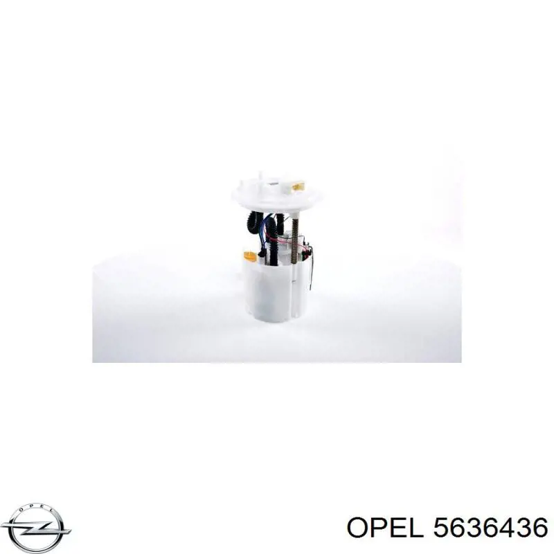 5636436 Opel Ремень двигателя