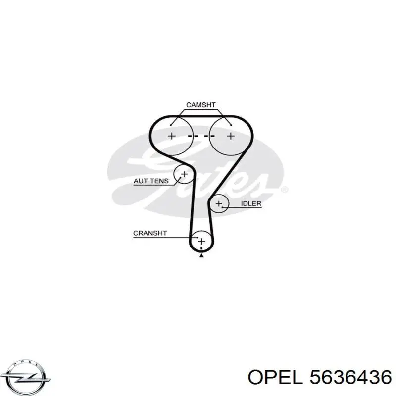 5636436 Opel ремень грм