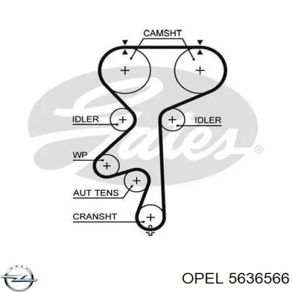 ГРМ ремни Opel 5636566