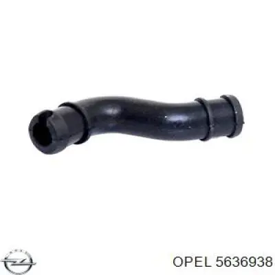 5636938 Opel cano derivado de ventilação de cárter (de separador de óleo)