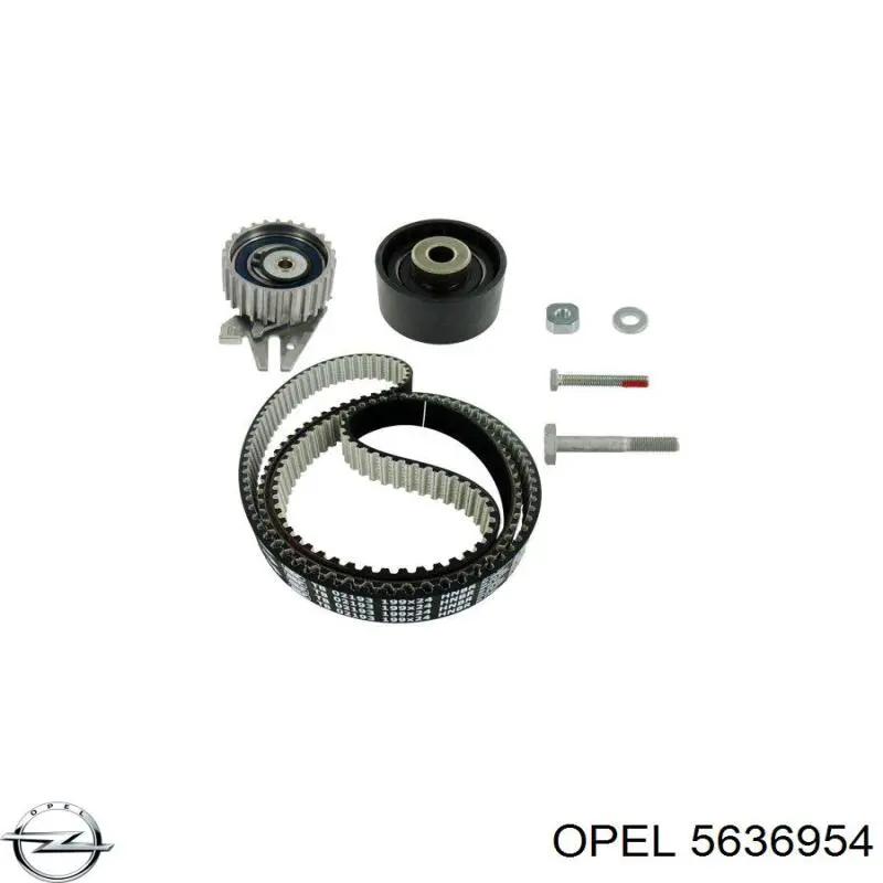 Купить 5636954 Opel Ведуший ролик ГРМ