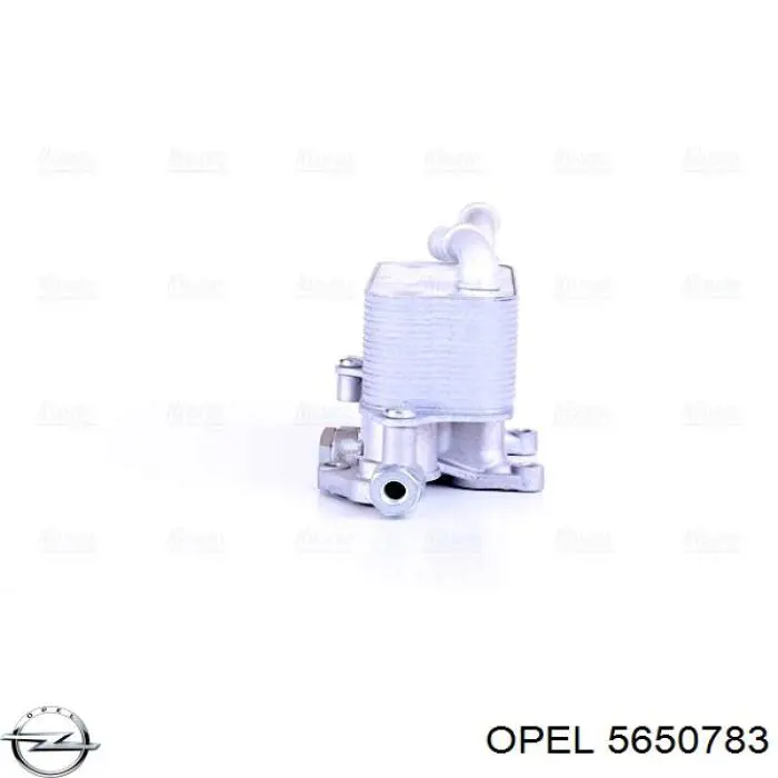 D4X023TT Thermotec Радиатор охлаждения, АКПП