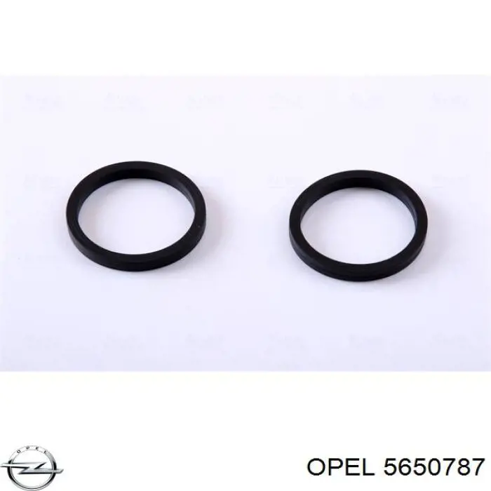 5650787 Opel radiador de óleo