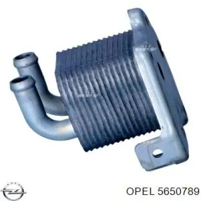 Купить 5650789 Opel Масляный радиатор охлаждения АКПП