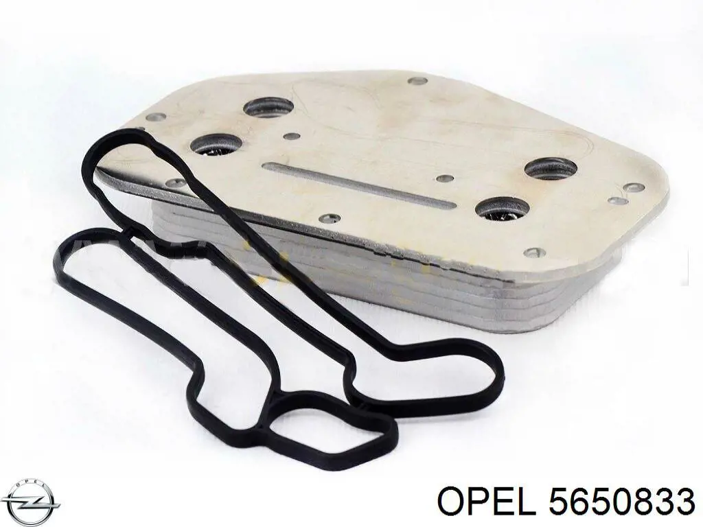5650833 Opel радиатор масляный