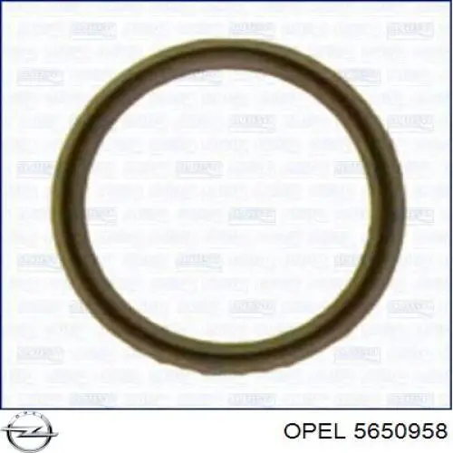 5650958 Opel прокладка радиатора масляного