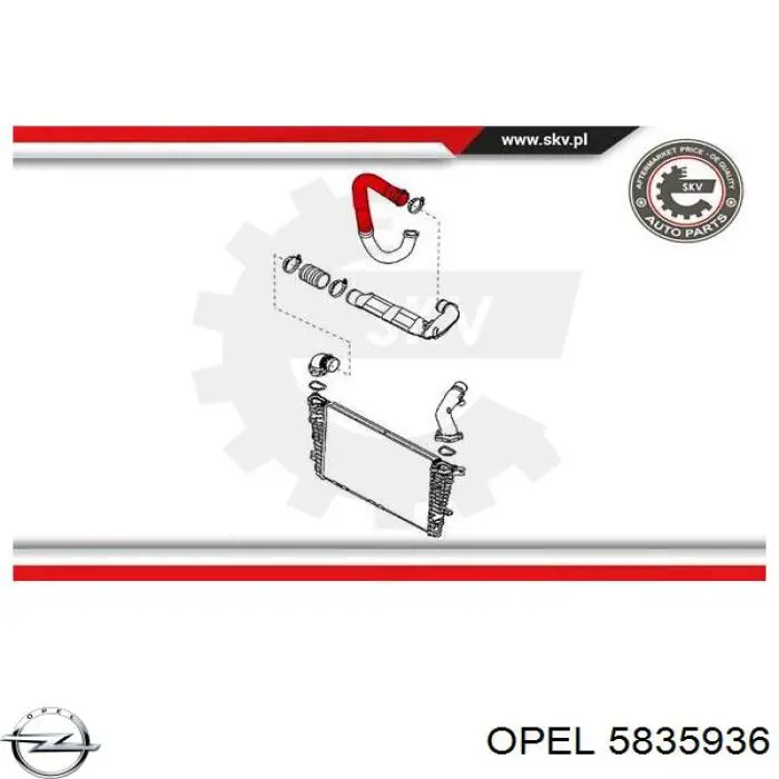  Opel 5835936 цена, от 17.20 USD