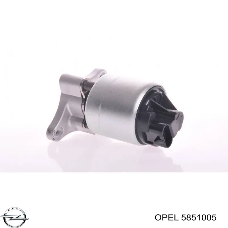 Клапан EGR, рециркуляции газов Opel 5851005