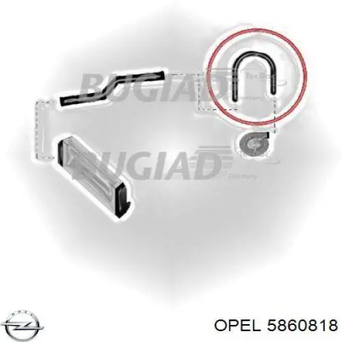 5860818 Opel Патрубок интеркуллера