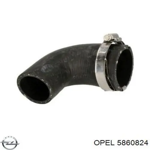  5860824 Opel