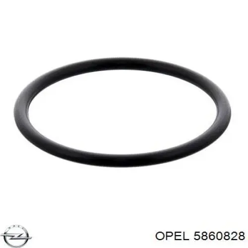  5860828 Opel