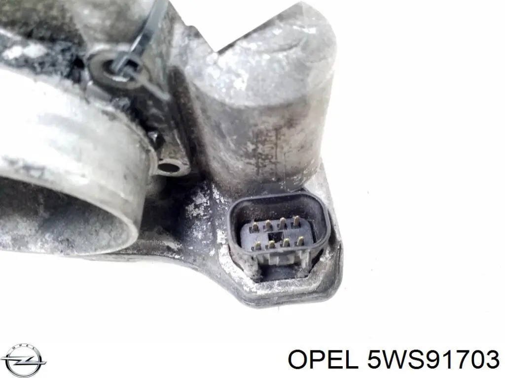 Заслонка воздушная Opel 5WS91703
