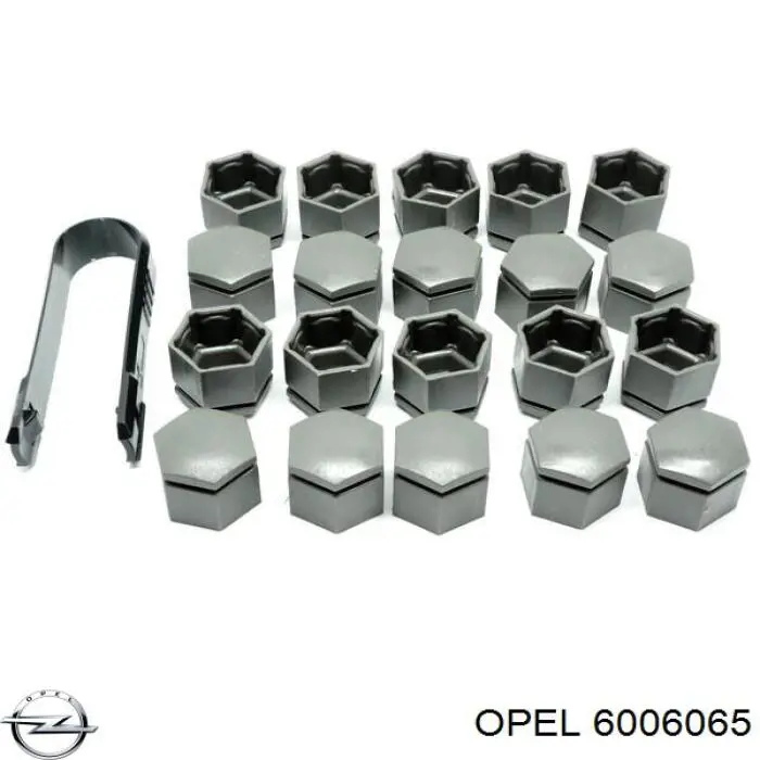 6006065 Opel 