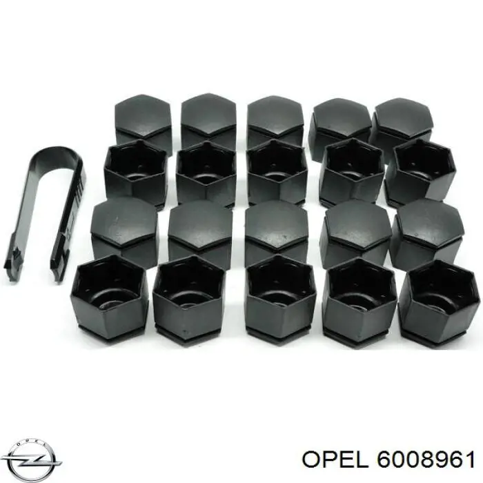 6008961 Opel 