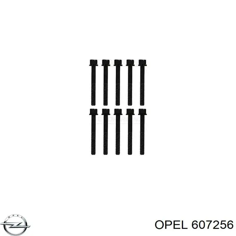 607256 Opel Болт крепления головки блока цилиндров