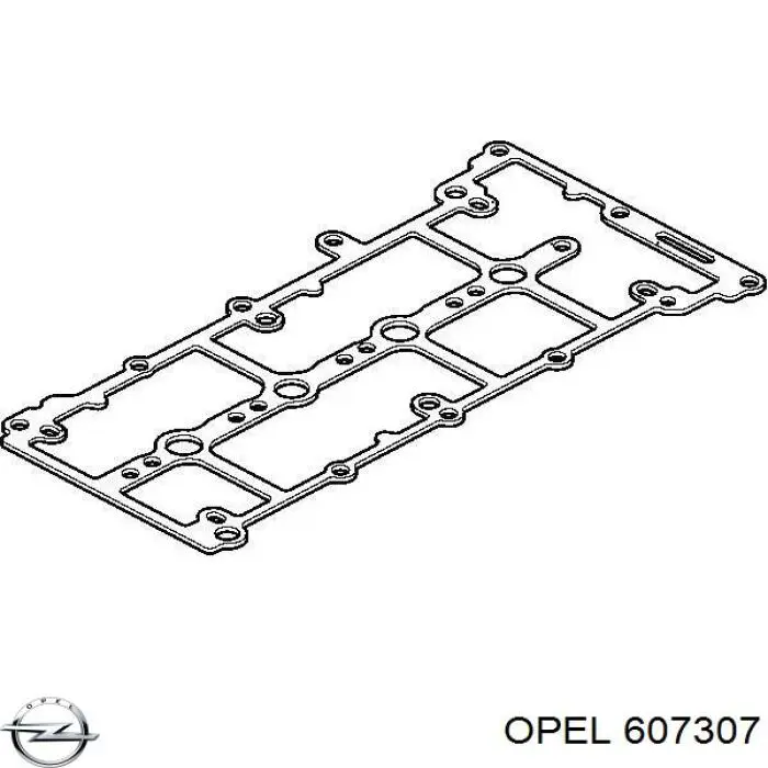 607307 Opel прокладка клапанной крышки