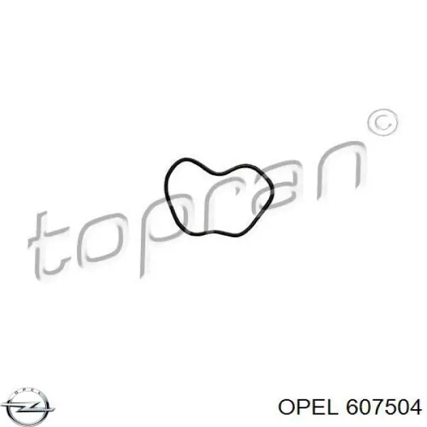 Прокладка тройника системы охлаждения Opel 607504