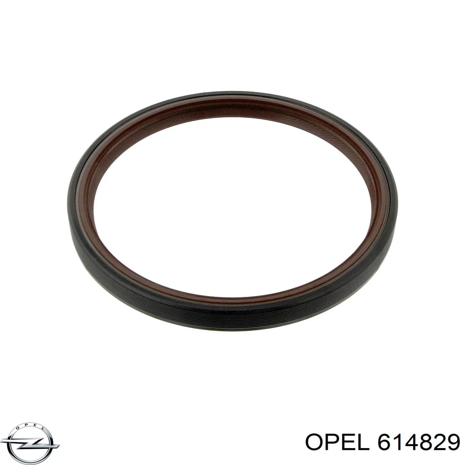 Сальник коленвала задний Opel 614829 цена, от 10.27 USD