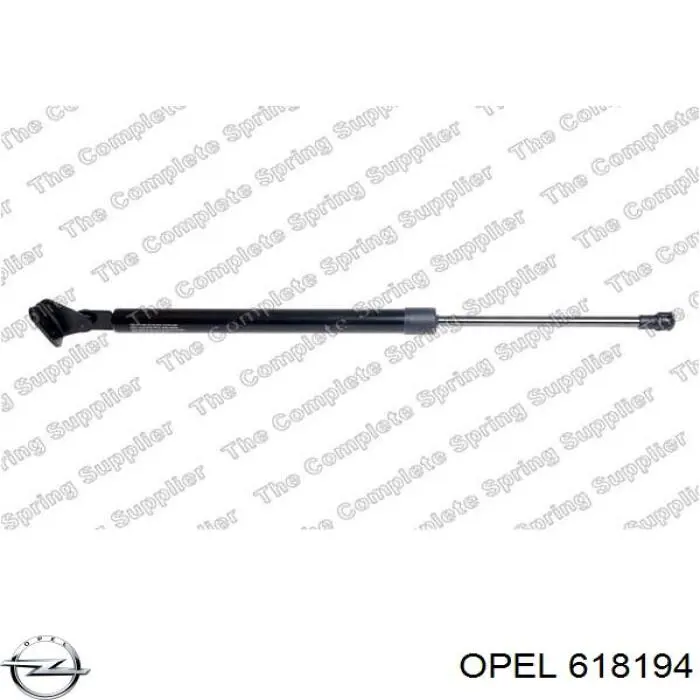 618194 Opel 