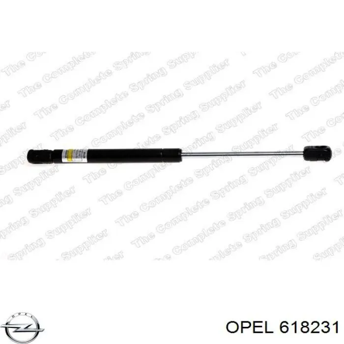 618231 Opel 