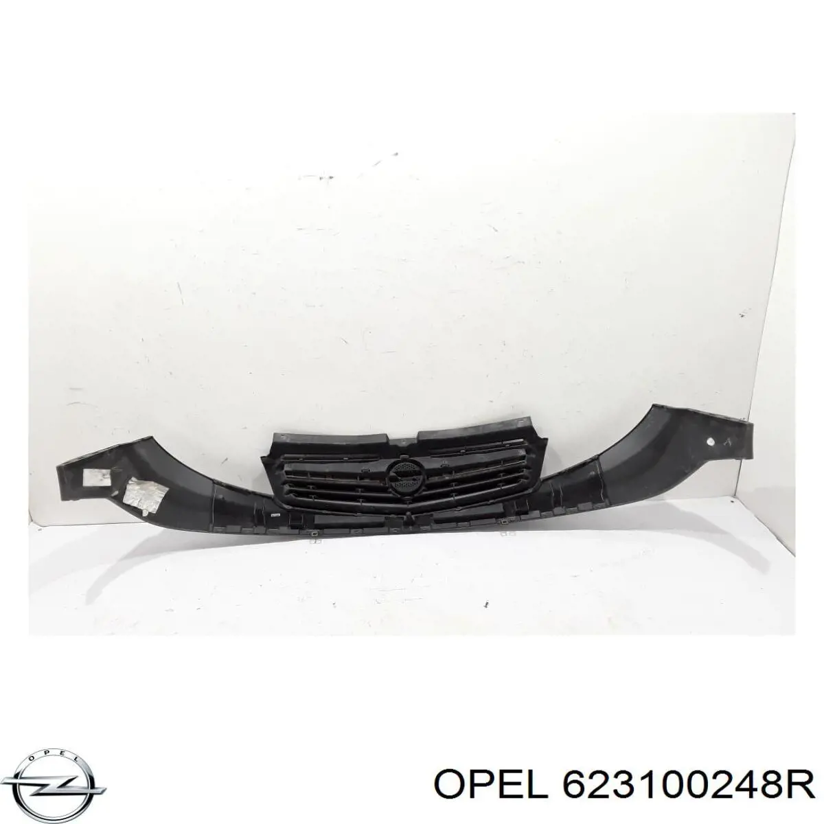 623100248R Opel 