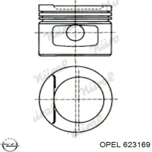 Поршень на 1 цилиндр 0623169 Opel