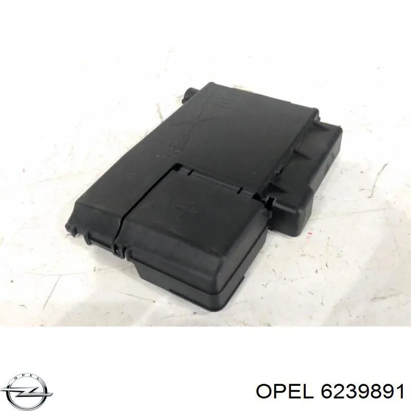  Opel 6239891 цена, от 19.77 USD