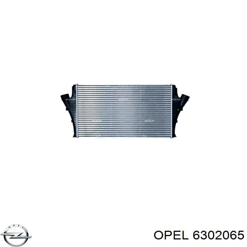 Система охлаждения наддувочного воздуха Opel 6302065 цена, от 149.02 USD