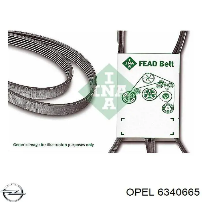 Клиновый ремень Opel 6340665 цена, от 11.92 USD