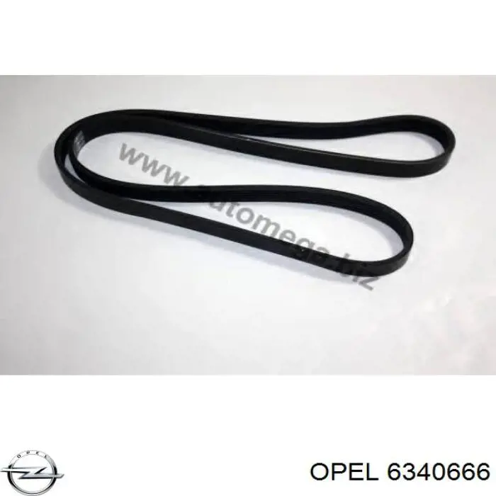 Клиновый ремень Opel 6340666 цена, от 11.92 USD
