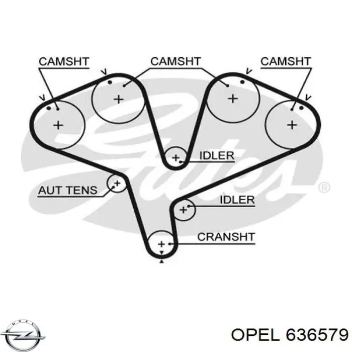 Ремень ГРМ 636579 Opel