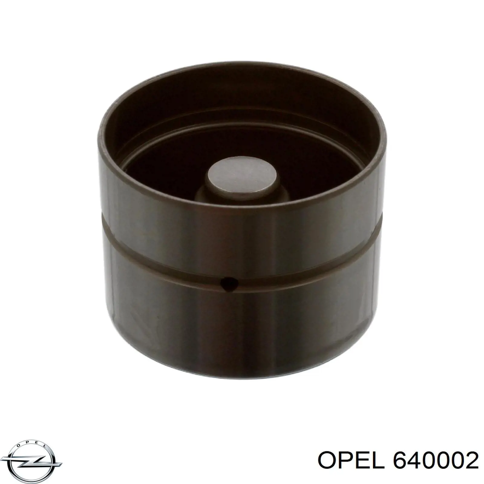 640002 Opel compensador hidrâulico (empurrador hidrâulico, empurrador de válvulas)