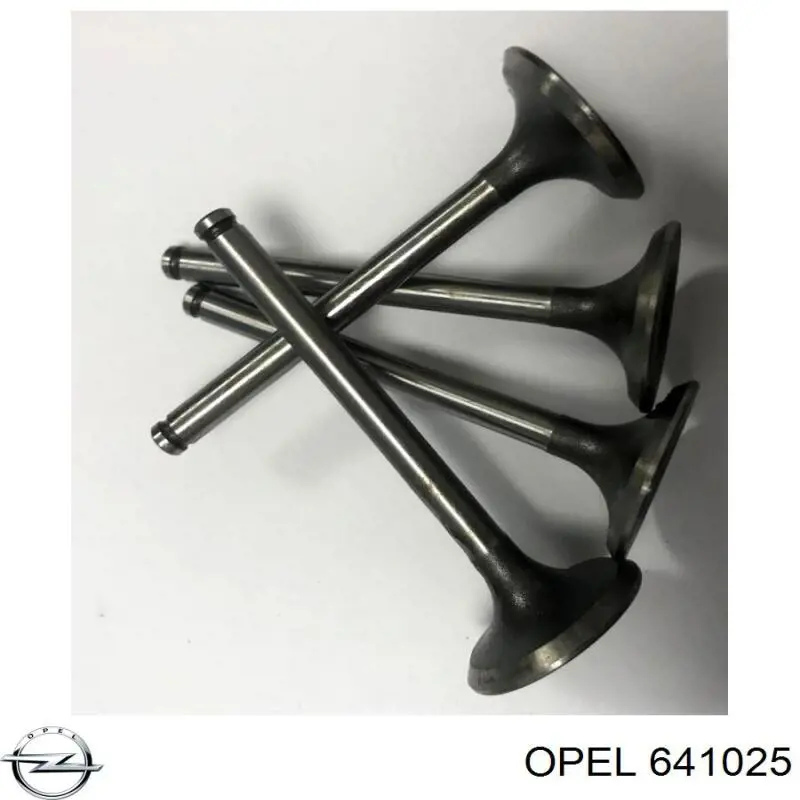641025 Opel клапан впускной