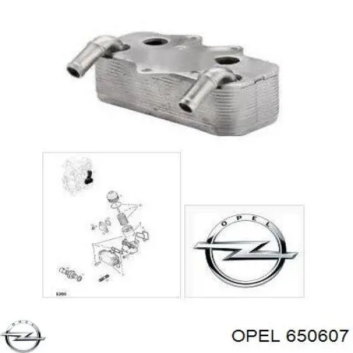 650607 Opel radiador de óleo